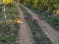 NORDIC WALKING BENESSERE