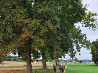 ALLENAMENTO DI NORDIC WALKING