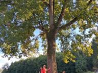 ALLENAMENTO DI NORDIC WALKING