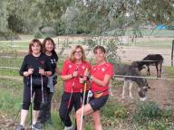 NORDIC WALKING BENESSERE