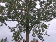 ALLENAMENTO DI NORDIC WALKING