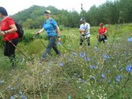NORDIC WALKING NELLE CAMPAGNE DI INCISA
