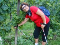 CAMMINATA PER LE COLLINE DI NIZZA M.