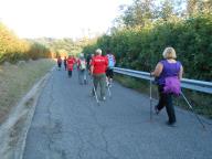 NORDIC WALKING TRA CALAMANDRANA E ROCCHETTA P.
