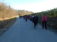NORDIC WALKING CON PAOLA A CANELLI