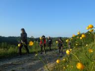 CAMMINATA IN NORDIC WALKING CON PAOLA A VINCHIO