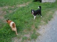 NORDIC WALKING CON PAOLA IN SEMI NOTTURNA