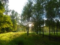 NORDIC WALKING TRA NIZZA E VAGLIO