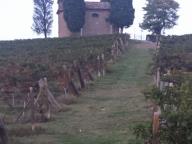 NORDIC WALKING AL BRICCO CON PAOLA R.