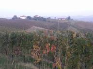 NORDIC WALKING AL BRICCO CON PAOLA R.