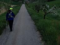 CAMMINATA IN TECNICA NORDIC WALKING 
