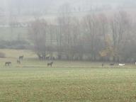 NORDIC WALKING SULLE COLLINE DI AGLIANO TERME