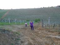 NORDIC WALKING A NIZZA
