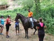 NORDIC WALKING FESTIVAL
