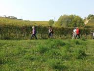 CAMMINATA IN TECNICA NORDIC WALKING CON PAOLA R.