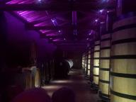 CAMMINATA CON VISITA ALLE DISTILLERIE BERTA 