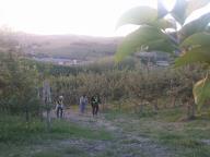 CAMMINATA IN TECNICA NORDIC WALKING CON PAOLA R.