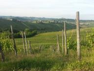 CAMMINATA IN NORDIC WALKING CON PAOLA R.