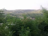 CAMMINATA IN NORDIC WALKING CON PAOLA R.