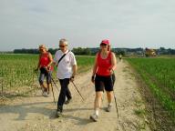 CAMMINATE IN TECNICA NORDIC WALKING