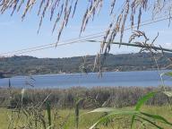 CAMMINATA IN TECNICA NORDIC WALKING AL LAGO DI CANDIA