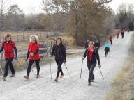 CAMMINATE IN TECNICA NORDIC WALKING AL PARCO DELLA MANDRIA