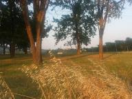 CAMMINATA IN TECNICA NORDIC WALKING CON PAOLA R.