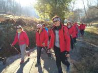 CAMMINATE IN TECNICA NORDIC WALKING