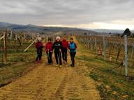 CAMMINATA IN TECNICA NORDIC WALKING CON PAOLA R.