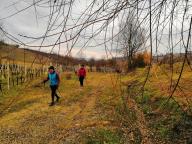 CAMMINATA IN TECNICA NORDIC WALKING CON PAOLA R.