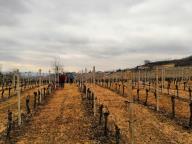 CAMMINATA IN TECNICA NORDIC WALKING CON PAOLA R.