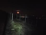 CAMMINATA IN TECNICA NORDIC WALKING CON PAOLA R.