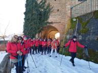CAMMINATE IN TECNICA NORDIC WALKING