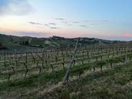 CAMMINATA IN TECNICA NORDIC WALKING CON PAOLA R.