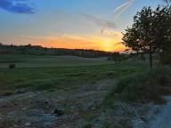CAMMINATA IN TECNICA NORDIC WALKING CON PAOLA R.