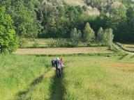 CAMMINATE IN TECNICA NORDIC WALKING