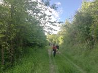 CAMMINATE IN TECNICA NORDIC WALKING