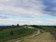 CAMMINATE IN TECNICA NORDIC WALKING