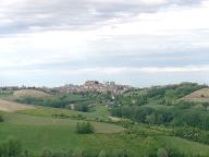 CAMMINATE IN TECNICA NORDIC WALKING