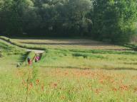 CAMMINATE IN TECNICA NORDIC WALKING