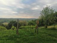 CAMMINATA IN NORDIC WALKING CON PAOLA R.