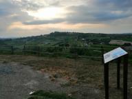CAMMINATA IN TECNICA NORDIC WALKING CON PAOLA R.