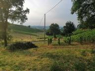 CAMMINATA IN TECNICA NORDIC WALKING CON PAOLA R.