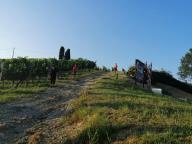 CAMMINATE IN TECNICA NORDIC WALKING