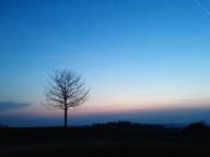 Con il tramonto