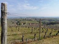 ALLENAMENTO DI NORDIC WALKING