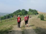 ALLENAMENTO DI NORDIC WALKING