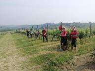 ALLENAMENTO DI NORDIC WALKING
