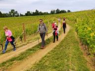 ALLENAMENTO DI NORDIC WALKING