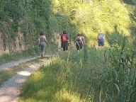 ALLENAMENTO DI NORDIC WALKING